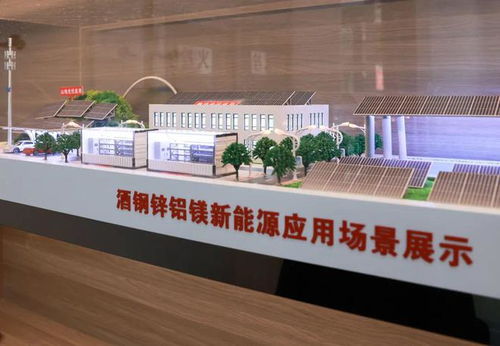 市領導調研市區重點企業